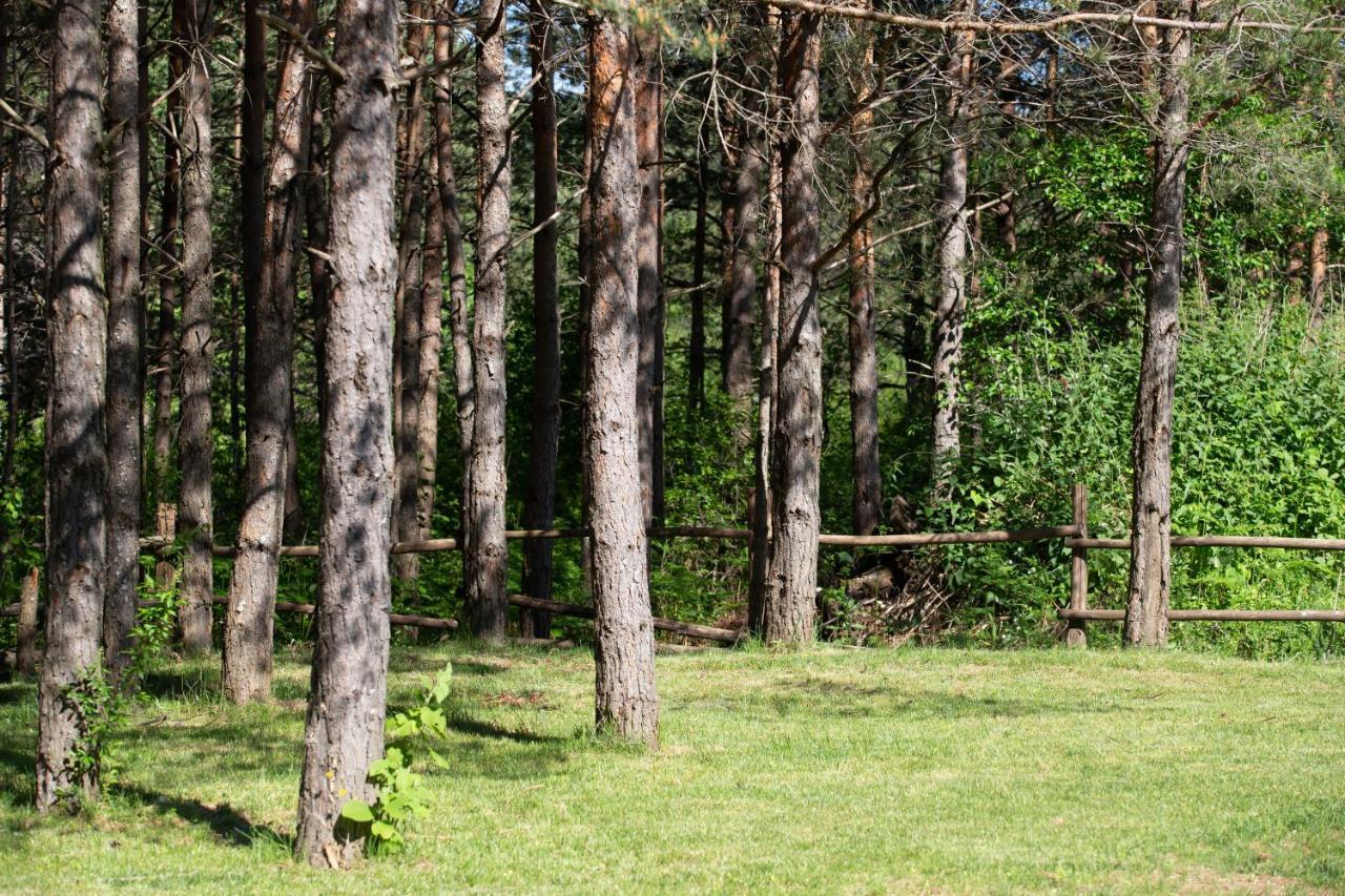 Timber Valley Plitvička Jezera Esterno foto