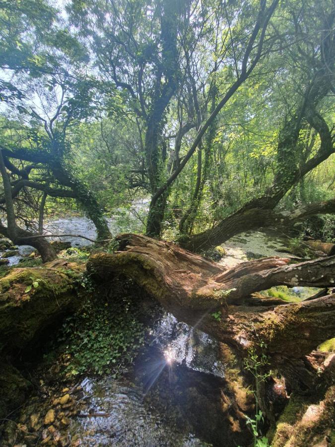 Timber Valley Plitvička Jezera Esterno foto